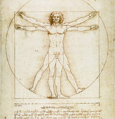 The Renaissance Developer