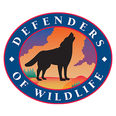 Wild Without End
