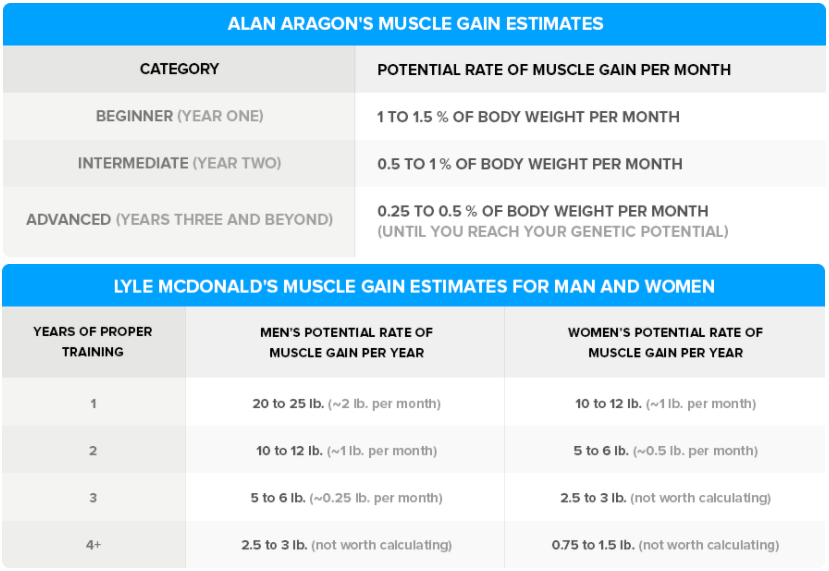 How much muscle can we gain naturally