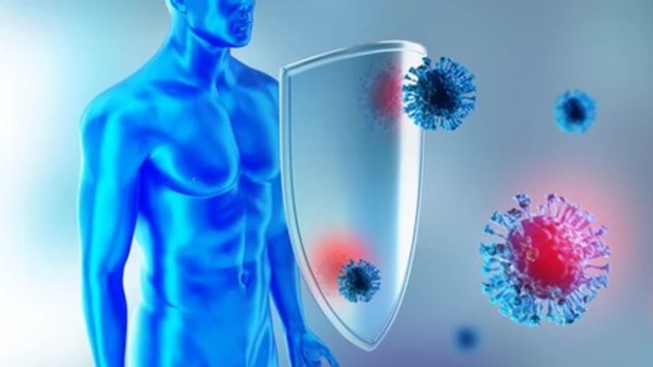 immune-system-protection-against-viruses-260nw-1695166735