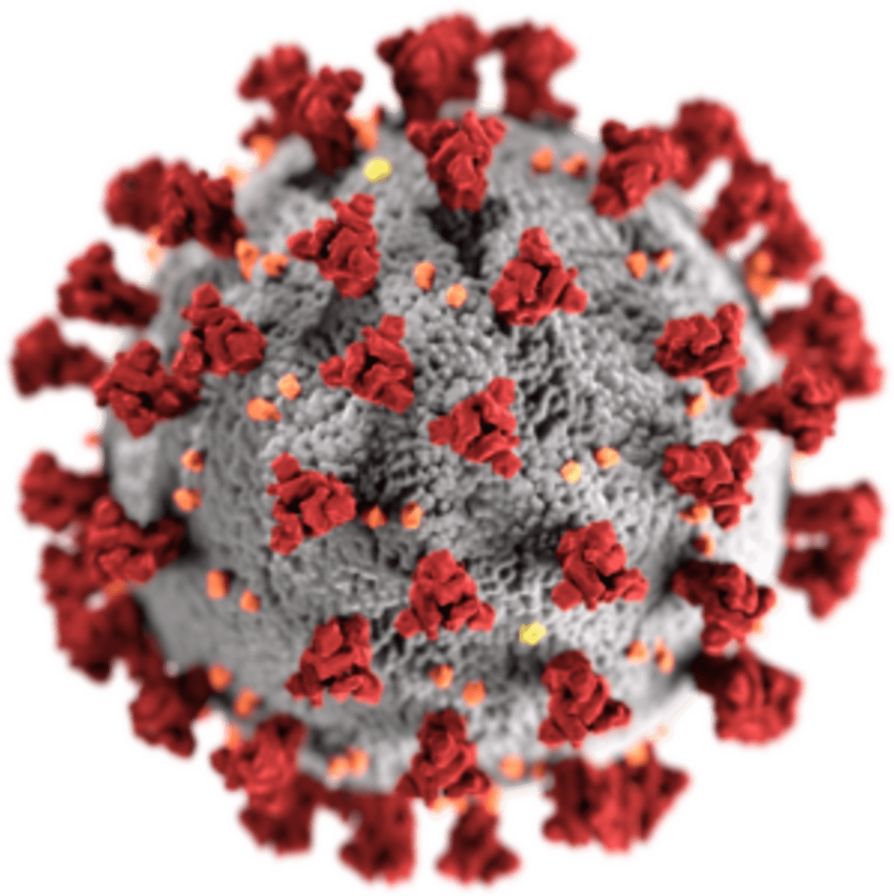 SARS-CoV-2_without_background