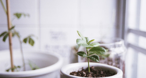 3 ways to take care of your money and the planet with ethical finances