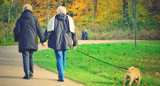 Retired couple walking their dog in park