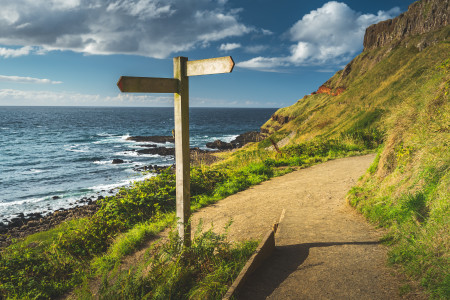 signpost pointing different directions next to shoreline.