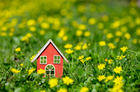 Little red toy house on a field with yellow flowers.