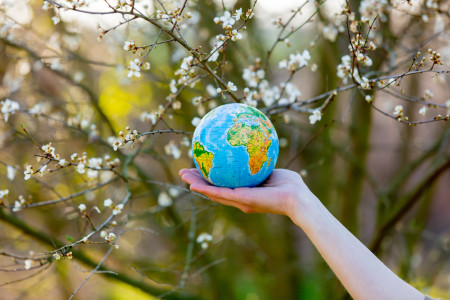 A hand holding a globe against a blooming cherry tree.