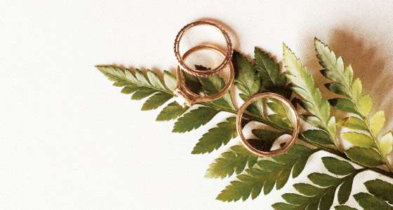 Who should pay for what at your wedding?