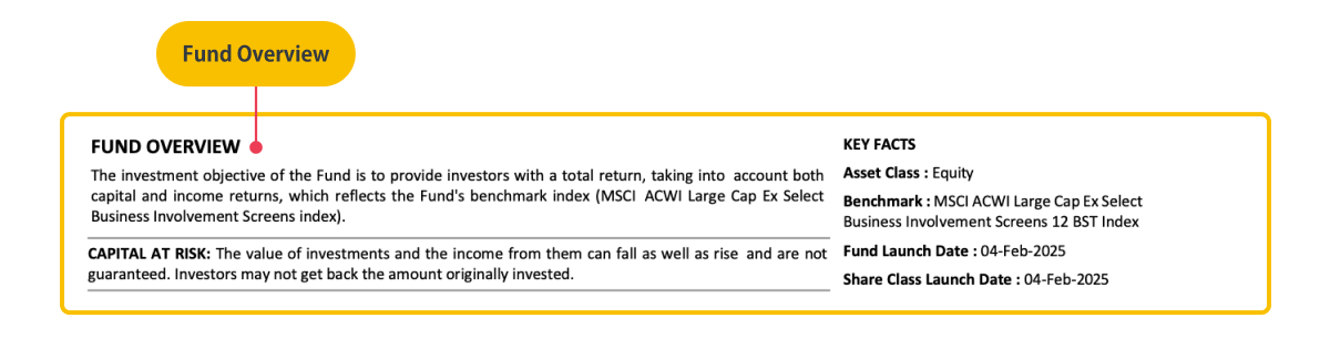 Investment objectives
