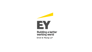 EY/ Associate partner