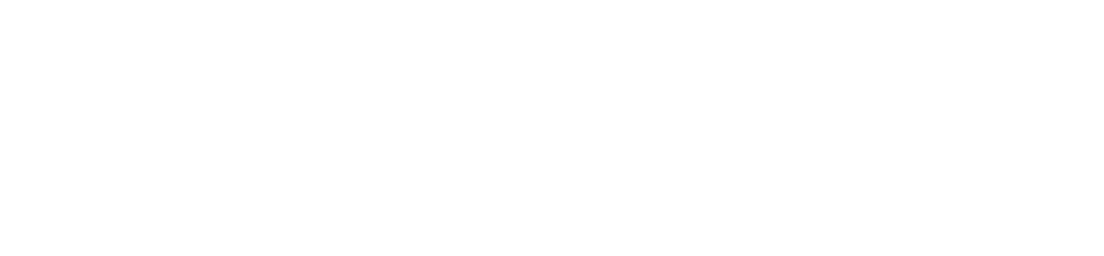 From learning to performance: The power of experiential leadership development and simulations