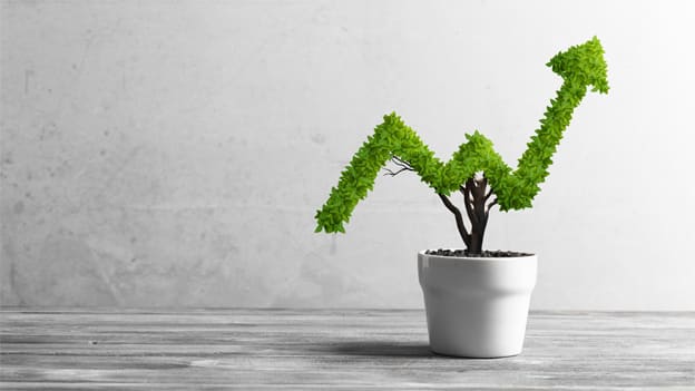 Four ways to spur organizational growth