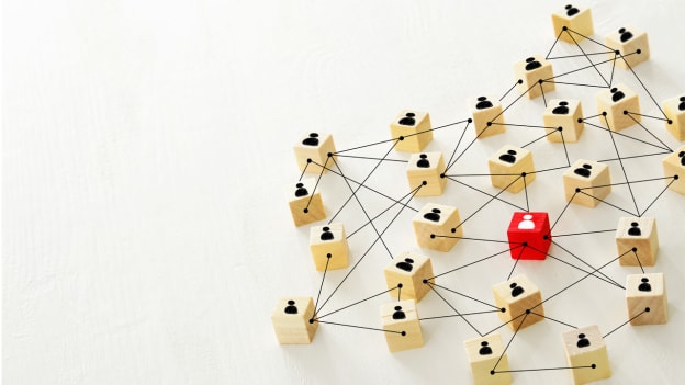 From hierarchies to network: How should HR leverage the power of networked teams