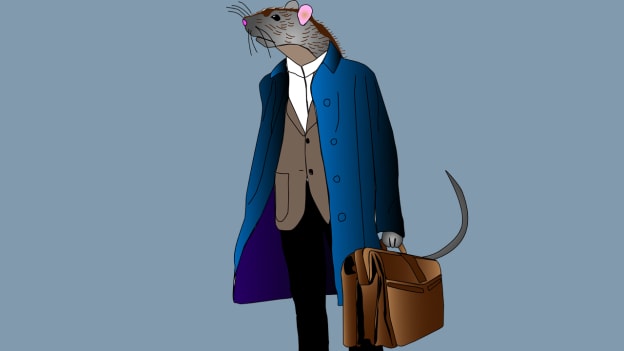 Is your boss a rat?