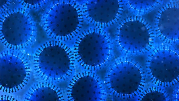 How employers can fight Coronavirus at the workplace How employers can fight Coronavirus at the workplace