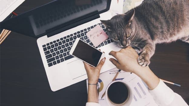 Work from home is here to stay: Report Work from home is here to stay: Report