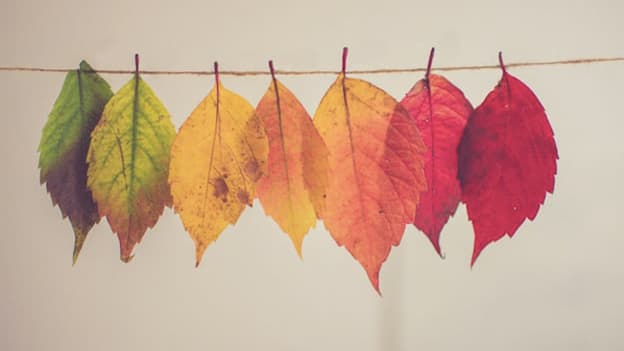 Here's how organisations are celebrating diversity at work Here's how organisations are celebrating diversity at work