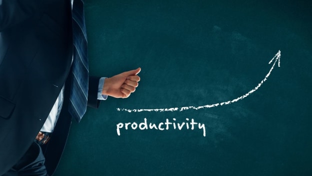 5 Pillars of a productive workplace