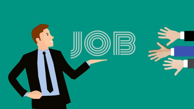 Employers on the prowl for freshers as economy heals Employers on the prowl for freshers as economy heals