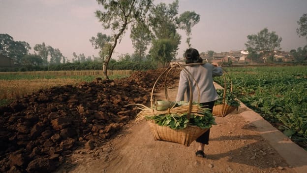 How to improve the talent ratio in favour of women in the Indian agri and allied sector?