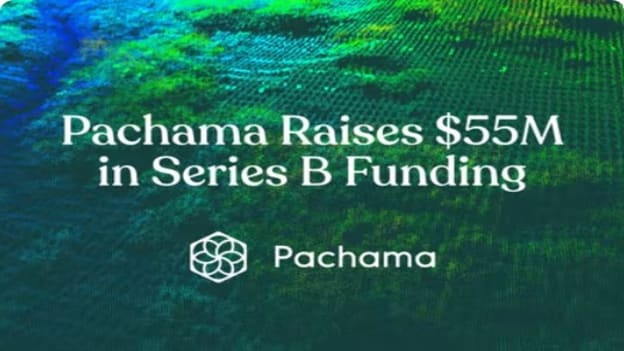 Ecotech startup Pachama closes on $55 Million Series B funding led by Future Positive