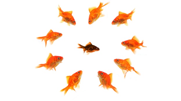 Back off, bully! How to stand up to office bullying Back off, bully! How to stand up to office bullying