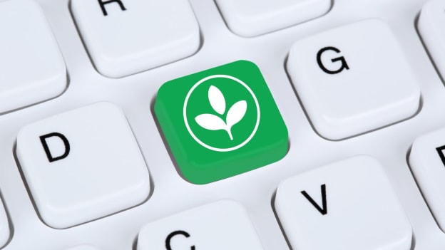 Why green HR management policies could encourage return to office Why green HR management policies could encourage return to office