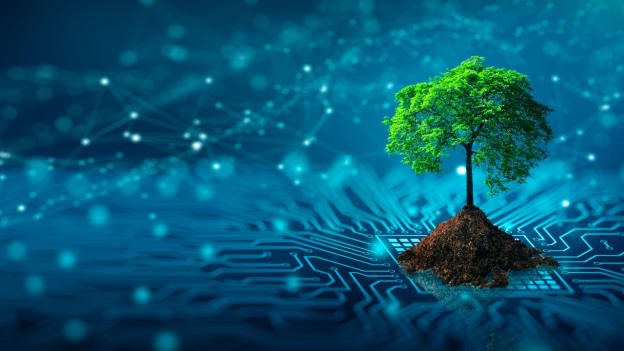 Sustainability data a major gap to going green in business: Study