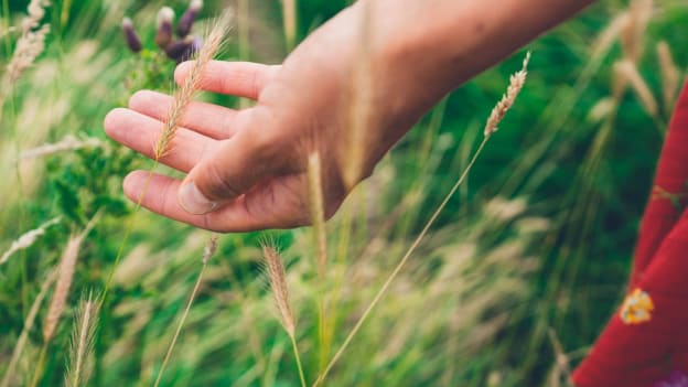 how to touch grass