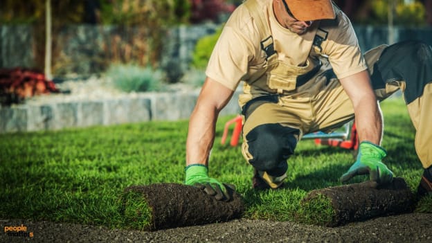 How green skills can sprout up your career prospects How green skills can sprout up your career prospects
