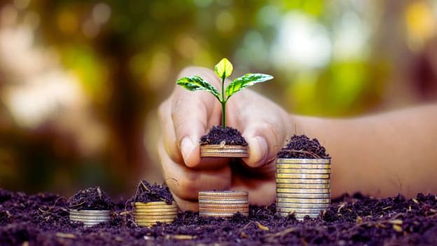 Deciding between global or local partner for financial wellbeing programs Deciding between global or local partner for financial wellbeing programs