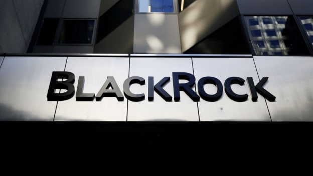 BlackRock layoffs begin in 2025 after adding 3,700 staff last year BlackRock layoffs begin in 2025 after adding 3,700 staff last year