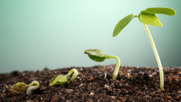 Are you people ready for the coming growth cycle? Are you people ready for the coming growth cycle?