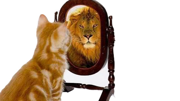 When Self-perception Is Greater Than Performance