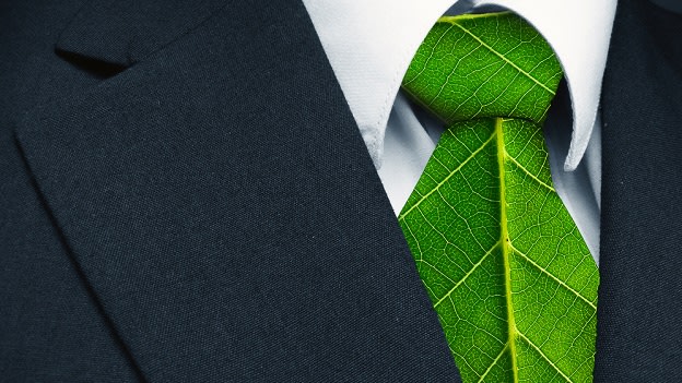 How Green is your HR?