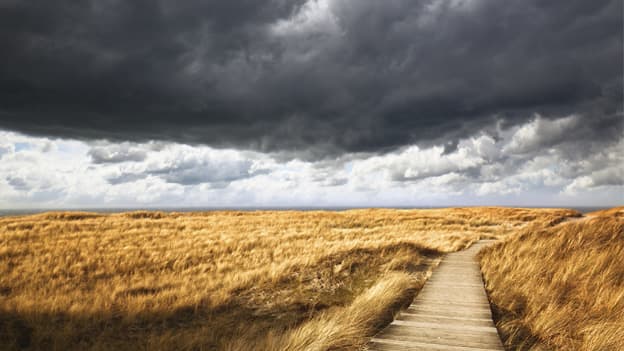 Ethical Storm Brewing: Corporate Governance At a Crossroads