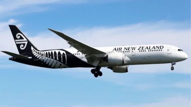 Air New Zealand faces difficult year with job cuts and profit plunge