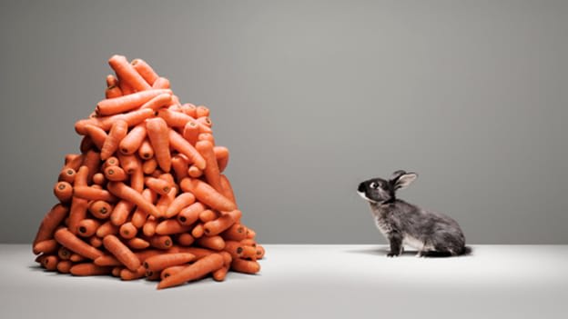 The role of rewards and recognition in employee motivation