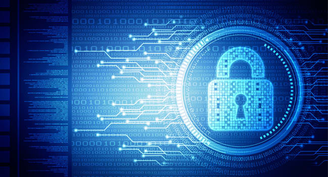 80% of Indian orgs struggle to educate their leaders/ employees about cybersecurity: Sophos survey