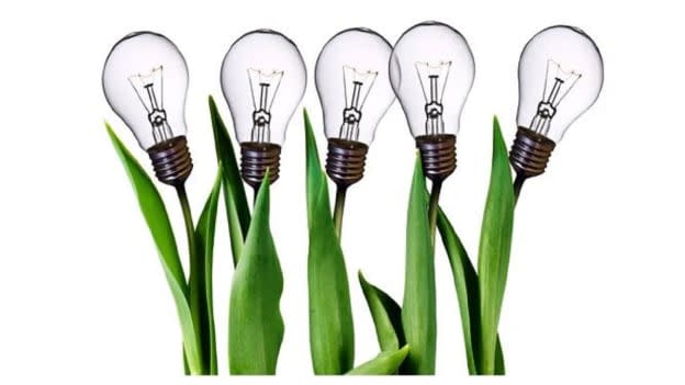 Founders of leading organisations like Zerodha & Udemy back startup school- Stoa