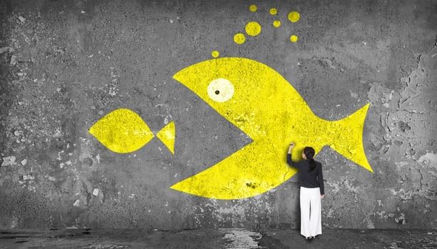 Shippit acquires SaaS platform Premonition