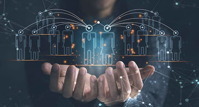 Digital skills every HR pro should master