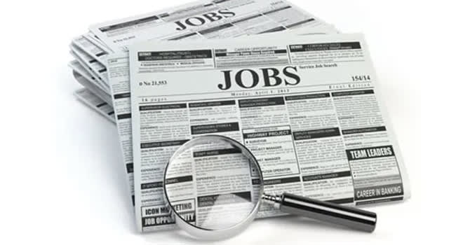 72% Indian jobseekers prefer SMBs over large enterprises, says survey