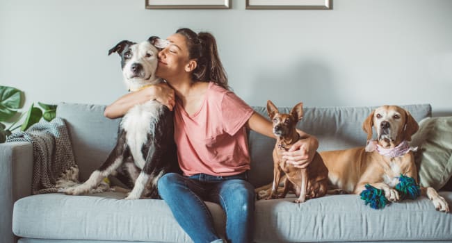 Swiggy introduces Paw-ternity’ Policy for pet parents