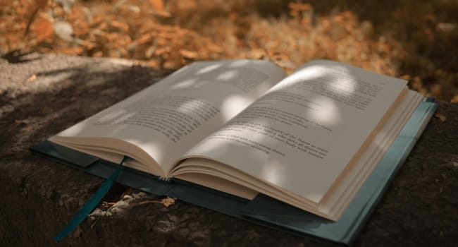6 books every HR leader should read to boost EX