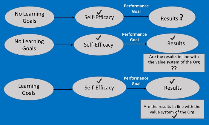 Performance Goal and Learning Goal Management 