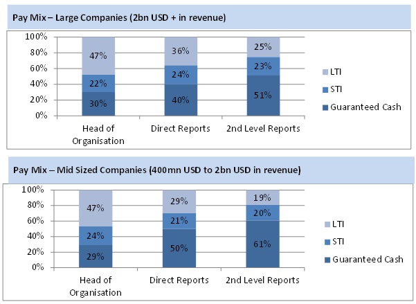 Pay mix at CXO level in large and mid-sized organizations