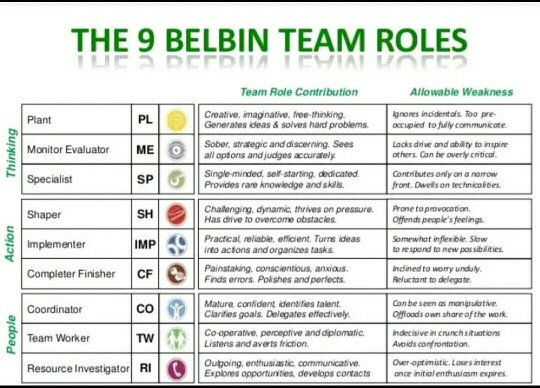 belbin team roles test free pdf