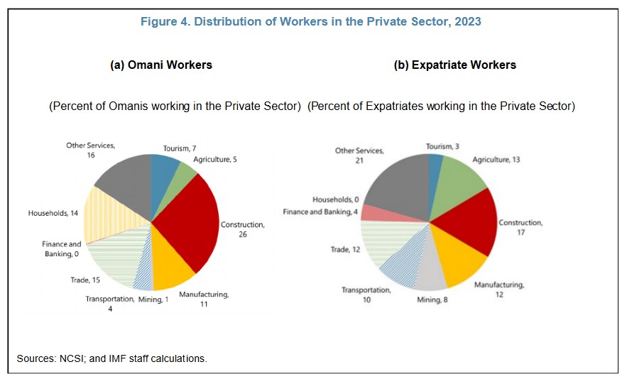 Omani vs Expat workforce data