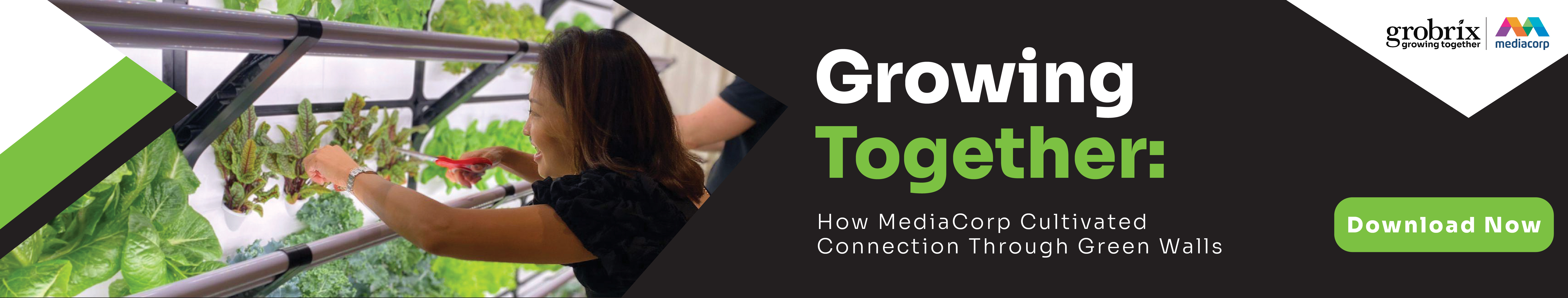  Growing Together: How MediaCorp Cultivated Connection Through Green Walls