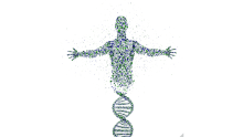 Mapping the DNA of a successful CEO: CEO Genome Project